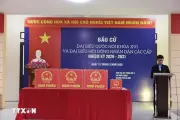 Cử Tri Thủ Đô Hào Hứng Cầm Lá Phiếu, Gửi Gắm Niềm Tin Vào Tương Lai