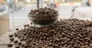 Caffeine trở thành 'công tắc' điều khiển gien, mở ra hy vọng điều trị ung thư và tiểu đường