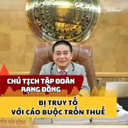 Chủ tịch Tập đoàn Rạng Đông bị truy tố với cáo buộc trốn thuế hàng trăm tỷ đồng
