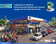 Chính phủ triển khai giải pháp cấp bách đảm bảo an ninh năng lượng quốc gia