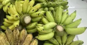 Chuyên gia tiết lộ biến đổi cơ thể khi ăn chuối mỗi ngày trong 7 ngày