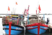 Cấm tàu cá hoạt động nếu chưa hoàn tất thủ tục chuyển nhượng