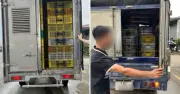 Công An Xã Đại Xuyên Xử Lý 4 Xe Tải Vận Chuyển Gia Cầm Vi Phạm Vệ Sinh Thú Y