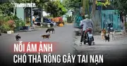 Cảnh sát thả rông lòng đường, người dân hoang mang không dám di chuyển