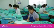 Doanh Nghiệp Việt Tìm Lối Thoát Giữa Khủng Hoảng Logistics Và Giá Nguyên Liệu Tăng