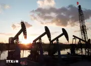 Giá dầu giảm tiếp, thị trường chứng khoán vùng vịnh phục hồi nhẹ