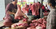 Giá Thịt Heo Lao Dốc, Nhiều Địa Phương Ghi Nhận Mức Giá Thấp Kỷ Lục