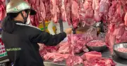 Giá thịt heo tăng trở lại trên cả nước sau chuỗi ngày giảm sâu