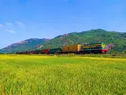 Giá Xăng Dầu Giảm, Đường Sắt Hạ Giá Vé Tàu và Cước Vận Chuyển Hàng Hóa