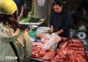 Giá xăng dầu tăng kéo theo nhiều mặt hàng thực phẩm tại TP.HCM tăng nhẹ