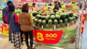 Gia Lai: Siêu thị GO! và Tops Market hỗ trợ tiêu thụ 200 tấn dưa hấu, giúp nông dân vượt khó