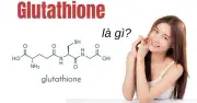 Glutathione: Hoạt chất vàng trong điều phối sắc tố và chống lão hóa da