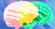 Grammarly Ra Mắt 'Expert Review': AI Đóng Vai Chuyên Gia Gây Tranh Cãi Về Tính Xác Thực