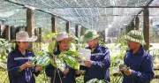 Hội thảo Quốc tế về Cây Dược Liệu tại Quy Nhơn: Mở Ra Cơ Hội Phát Triển Bền Vững