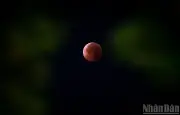 Hiện tượng Selenelion và nguyệt thực toàn phần hiếm gặp diễn ra tối nay tại Việt Nam