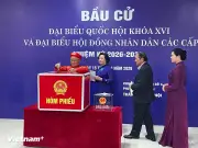 Hơn 1.200 cử tri Hà Nội tham gia bầu cử, phản ánh sự phát triển dân chủ và chuyển đổi số