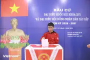 Hơn 3.000 sinh viên Đại học Bách khoa Hà Nội tham gia bầu cử tại khu vực số 20