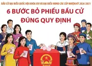 Hướng dẫn chi tiết 6 bước bỏ phiếu và chuyên trang thông tin bầu cử Quốc hội khóa XVI