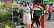Hào hứng với 'chợ cây 0 đồng' tại TP.HCM: Người dân thoải mái chọn giống rau miễn phí