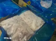 Hung Yên phát hiện xe tải chở hơn 13 tấn nầm lợn đã bốc mùi hôi thối