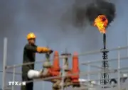 IEA cảnh báo sản lượng dầu vùng Vịnh giảm 8 triệu thùng mỗi ngày