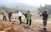Điện Biên: Hàng trăm người hưởng ứng ra quân trồng cây mắc-ca và cà-phê tại xã Na Son