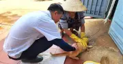 Đắk Lắk Khẩn Cấp Phòng Chống Bệnh Dại Sau 6 Ca Tử Vong Nghi Do Chó Cắn