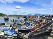 Khắc phục thẻ vàng IUU tại Khánh Hòa: Đảm bảo minh bạch, đầy đủ số liệu