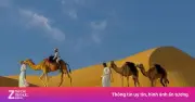 Khám Phá Trung Đông Qua Những Trang Sách: 6 Tác Phẩm Tiêu Biểu Về Lịch Sử Và Biến Động