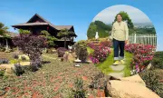 Kho tàng quý giá ẩn giấu trong biệt phủ 10.000m² của nghệ sĩ Việt thu hút check-in