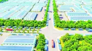Khu Công Nghiệp AI Nam Thăng Bình: Động Lực Mới Cho Miền Trung Và Cam Kết Net Zero