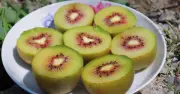 Kiwi - 'Trái Cây Ngủ' Giúp Cải Thiện Giấc Ngủ Tự Nhiên Và Sâu Hơn