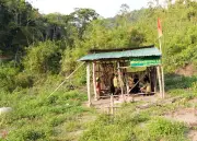 Lâm Đồng: Một Tuần 10 Vụ Phá Rừng, Lãnh Đạo Chỉ Đạo Xử Lý Kiên Quyết Cán Bộ Vi Pham