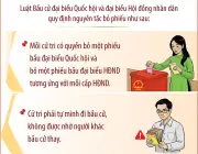 Luật Bầu cử quy định rõ nguyên tắc bỏ phiếu: Cử tri phải tự thực hiện