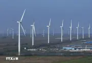 Ấn Độ đẩy mạnh phát triển năng lượng tái tạo để đối phó khủng hoảng khí đốt