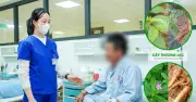 Ngộ độc củ thương lục giống sâm đất ở Phú Thọ, bác sĩ cảnh báo nguy hiểm