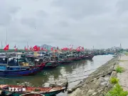 Ngư dân Gia Lai cập bến sớm để thực hiện quyền công dân trong ngày bầu cử