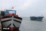 Ngư dân Đà Nẵng đối mặt khó khăn khi giá dầu tăng cao