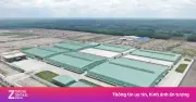 Đồng Nai xử phạt hàng loạt doanh nghiệp vi phạm đăng ký đầu tư và kê khai khống vốn điều lệ