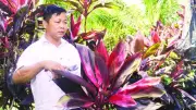 Ông Đặng Văn Thanh: Hành trình từ nông dân đến doanh nhân với mô hình kiểng lá độc đáo