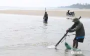 Người dân Cửa Lò vất vả cào ngao mưu sinh khi thủy triều rút