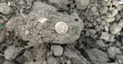 Người Đàn Ông Phát Hiện Kho Báu Quý Giá Trên Cánh Đồng Bằng Máy Dò Kim Loại