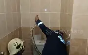 Người phụ nữ Nga hoảng hồn phát hiện trăn khổng lồ trong nhà vệ sinh