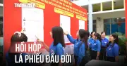 Người trẻ TP.HCM lần đầu đi bầu cử: Hồi hộp, trách nhiệm và kỳ vọng