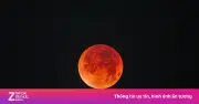 Ngắm 'Trăng máu' tối nay tại TP.HCM: Địa điểm vàng và bí quyết quan sát
