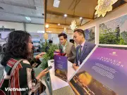 Ngành du lịch các địa phương lên kế hoạch tái cấu trúc ứng phó với bão giá