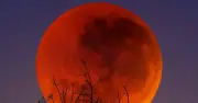 Nguyệt thực toàn phần cuối cùng đến năm 2028: 'Trăng máu' rực rỡ tháng 3/2026