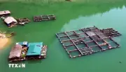 Nông Dân Thu Hàng Trăm Triệu Đồng Từ Các Mô Hình Kinh Tế Mới