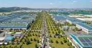 Đà Nẵng khởi công Khu công nghiệp Tam Anh - An An Hòa với vốn đầu tư hơn 4.150 tỉ đồng