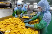 Áp lực bán lan rộng ở nhóm nông sản và năng lượng, thị trường chứng khoán biến động
